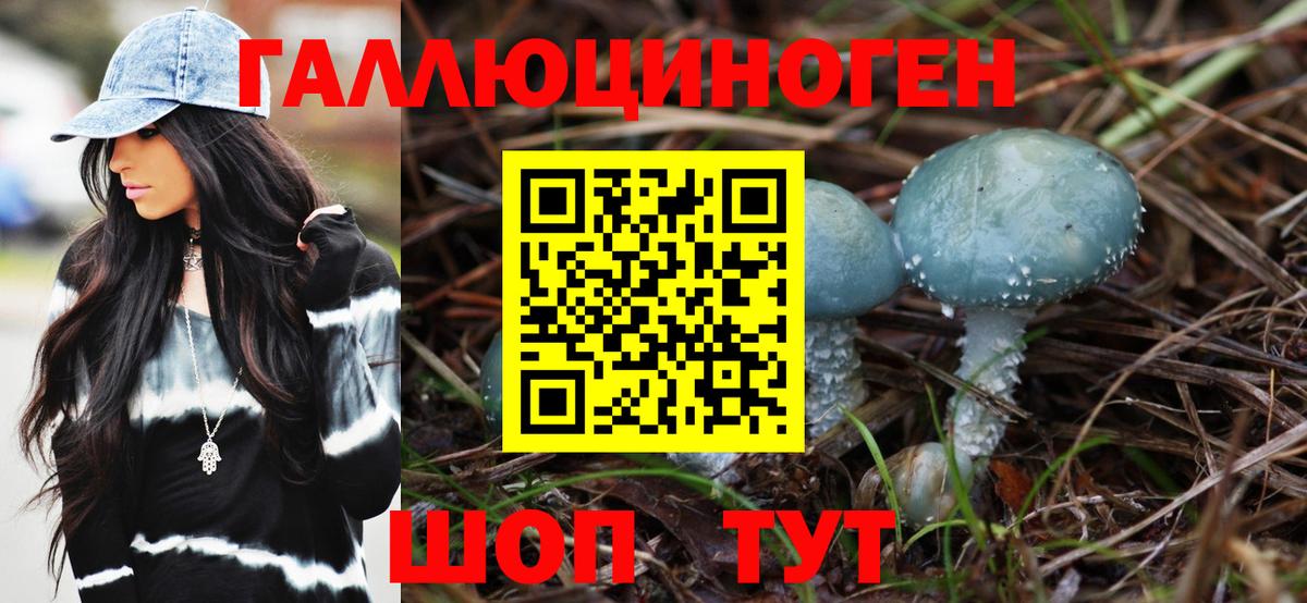 Котовск  Галлюциногенные грибы мицелий  Вход с VPN  Псилоцибиновые грибы Magic Shrooms 